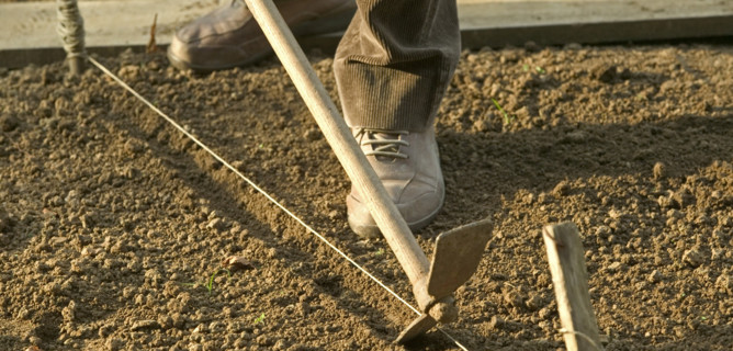 In Italia i lavoratori irregolari sono più di tre milioni