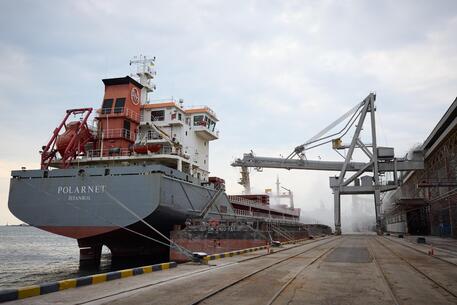 Crisi del grano, partita da Odessa la prima nave carica di mais