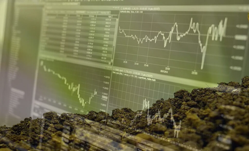 In Borsa si perdono soldi ma si può guadagnare facendo questo