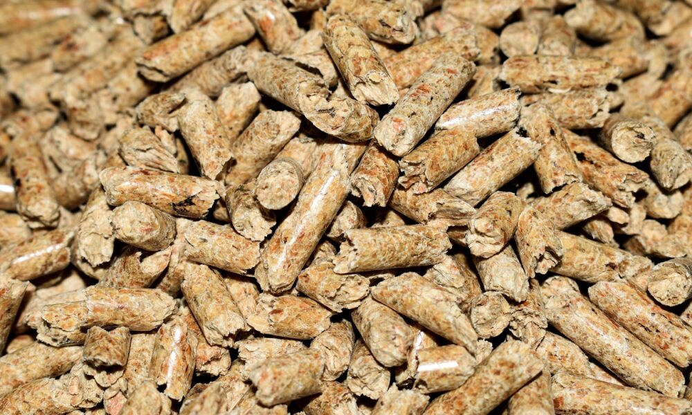 Bonus stufa a pellet: cos’è e come richiederlo