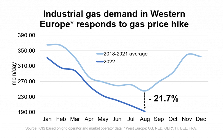 Gas: il prezzo potrebbe aver raggiunto il picco e stabilizzarsi durante l’inverno