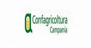 Calì (commercialisti): Puntiamo sulla formazione per dare nuove prospettive alla professione